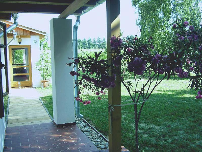 Martonvendeghaz 1 Villa Gelse Exterior photo